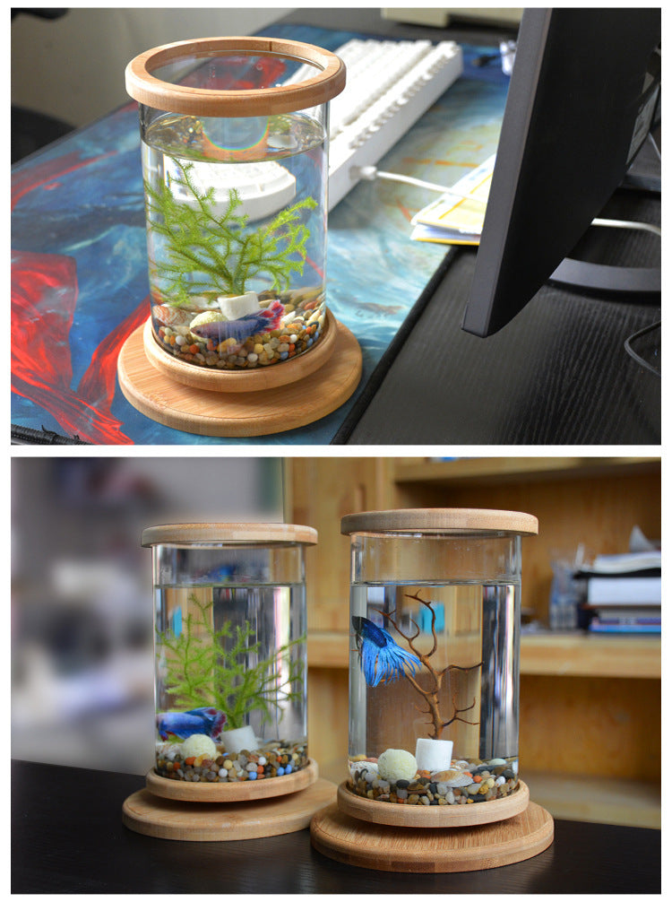 Kleines Büro-Glasaquarium mit Bambussockel, Mini-Fischbehälter-Dekoration, Fischschale.//Small Office Glass Aquarium Bamboo Base Mini Fish Tank Decoration Fish Bowl