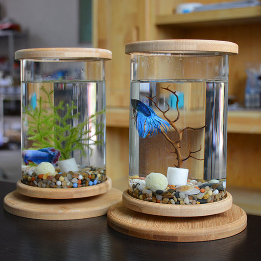 Kleines Büro-Glasaquarium mit Bambussockel, Mini-Fischbehälter-Dekoration, Fischschale.//Small Office Glass Aquarium Bamboo Base Mini Fish Tank Decoration Fish Bowl