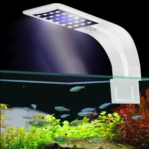 Natural High Brightness Aquarium Lighting