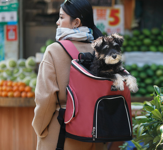 Hunde-Rucksack.//Pet Dog Backpack