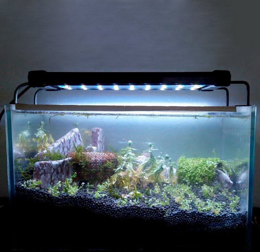 Aquarium-LED-Beleuchtungslampe für Süßwasserfische.//Aquarium Led Lighting Lamp Of Freshwater Fish