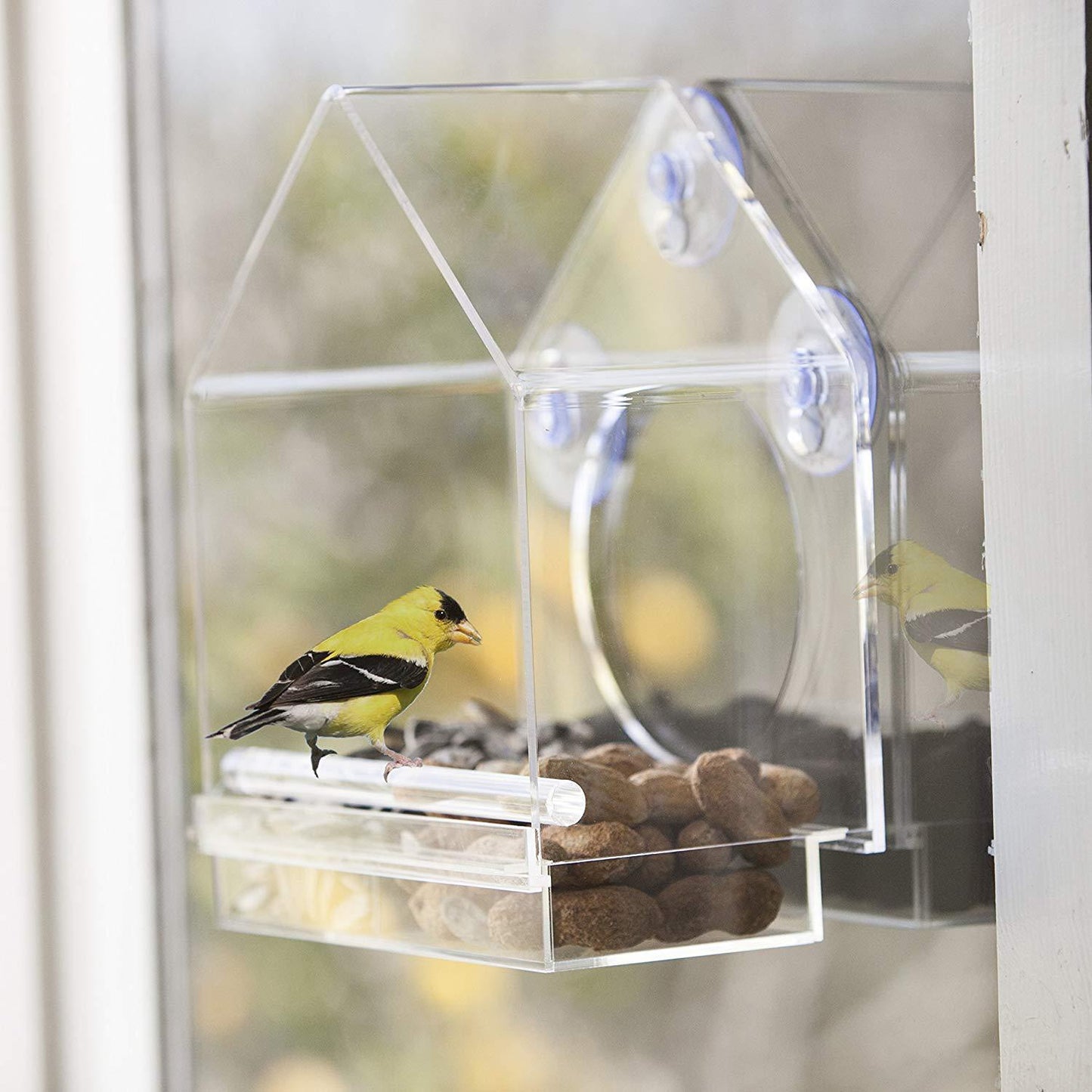 Hängender Acrylvogelfutterautomat Transparenter Acrylvogelkäfig.//Hanging Acrylic Bird Feeder Transparent Acrylic Bird Cage