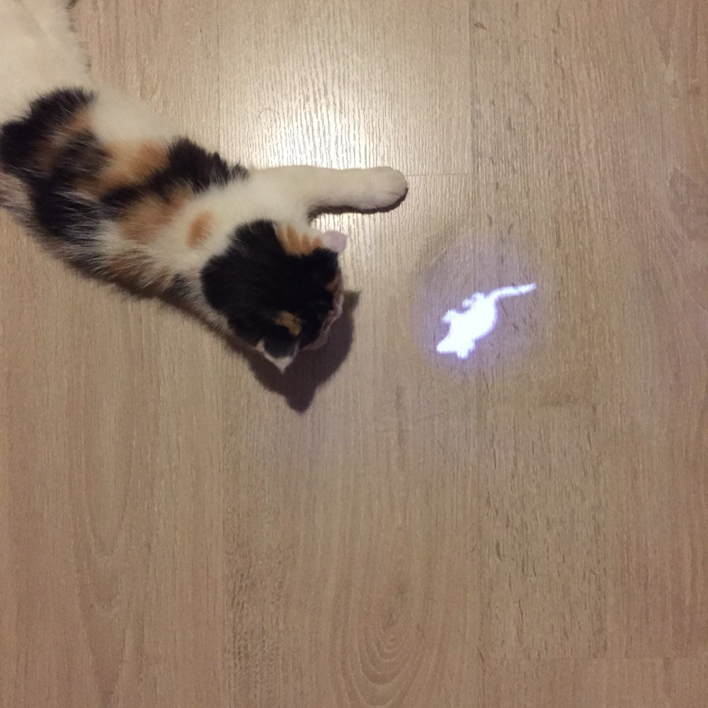 Katzenspielzeug LED Zeigerlicht-Stift